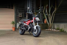 Kelebihan dan Kekurangan Honda ST125 Dax, Desain Unik dengan Segala Keunggulann