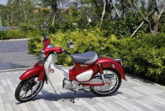 Honda Super Cub C125 vs Honda CT125 dan Honda ST125 Dax, Mana yang Lebih Menarik Perhatian Kamu?