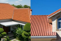 15 Jenis Atap Rumah Anti Panas untuk Hunian Tropis yang Nyaman