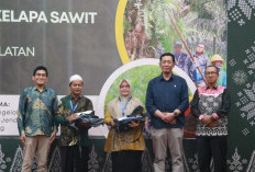 Petani Sawit Muara Enim Dibekali Ilmu Budidaya, Targetkan Kenaikan Produksi Hingga 50 Persen