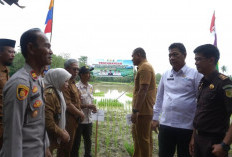 Prabumulih Gerak Cepat Hadapi El Nino 2026, Tanam Padi Jadi Strategi Utama
