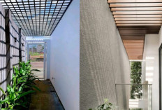 Lorong Samping Rumah yang Stylish: Ide Vertical Garden dan Taman Minimalis