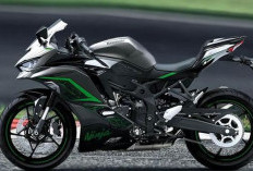 Kawasaki Ninja ZX 25RR Lebih Menarik dari Yamaha R25 dan Honda CBR250RR?