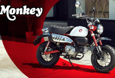 Waktunya Coba Gaya Baru, Honda Monkey Jadi Primadona dengan Banyak Keunggulan