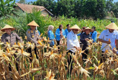 Sat Binmas Turun ke Warga, Dorong Kemandirian Pangan Masyarakat Prabumulih