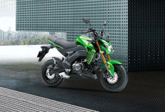 Kawasaki Z125 PRO vs Honda Grom dan Yamaha MT 125, Mana yang Lebih Menarik untuk Motor Mini