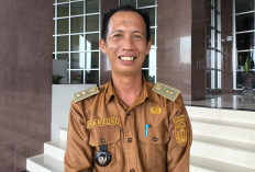KWT Srikandi Jadi Motor Ketahanan Pangan di Gunung Ibul Utara, Pekarangan Disulap Jadi Kebun Produktif