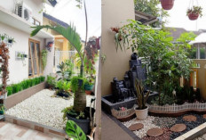 Inspirasi Taman Depan Rumah: Sederhana, Mewah, hingga Modern
