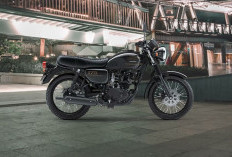 Begini Spesifikasi Kawasaki W175, Motor Adventure dengan Desain Klasik 
