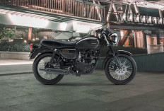 Kawasaki W175 ABS vs Honda CB150 Verza dan Yamaha XSR 155, Lebih Pilih Motor Petualangan Mana?