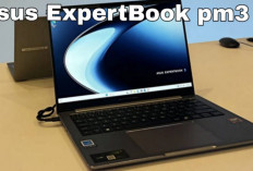 ASUS ExpertBook PM3 Hadir sebagai Laptop Bisnis Modern Berperforma Tinggi