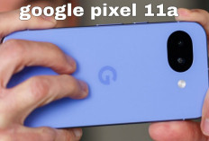 Google Pixel 11a Bocor! Tensor G6 Siap Bawa Pengalaman AI ke Level Baru