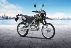Fitur Keamanan Kawasaki KLX230 DF, Dibekali ABS yang Bisa Dipilih Sesuai Medan