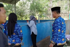Budidaya Maggot Jadi Andalan Prabumulih Kelola Sampah Organik dan Tekan Emisi