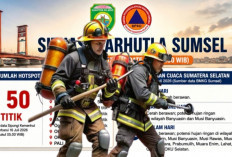 Update Karhutla Sumsel, BPBD Sumsel Catat 386 Kejadian: OKU Jadi Daerah dengan Hotspot Terbanyak