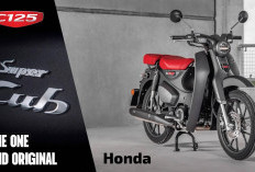 Motor Klasik Beda Karakter, Adu Spesifikasi Honda Supercub C125 Vs Honda CT125