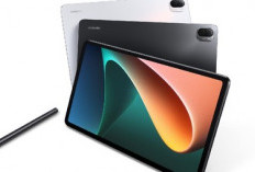 Xiaomi Pad 5: Tablet Murah dengan Performa Andal untuk Desainer Grafis