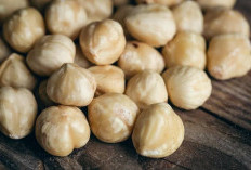 Miliki Beragam Khasiat Untuk Kesehatan, Ini 4 Manfaat Kemiri