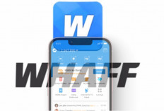 Cara Mudah Dapat Saldo DANA Rp212 Ribu Gratis dari Whaff Rewards