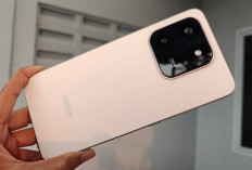 Honor X7d Tetap Usung RAM 8GB dan Memori 512GB di Tengah Kenaikan Harga Komponen