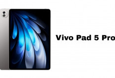 Vivo Pad 5 Pro, Layar 13 Inci, Chipset Flagship, Baterai Tahan Lama