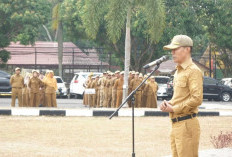 MCSP Korsupgah KPK di Depan Mata, Sekda Elman Tekankan Kesiapan Administrasi OPD