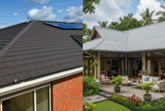 Seng vs Genteng: Atap Mana yang Lebih Hemat dan Tahan Lama?