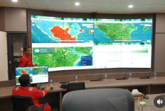 Darurat Karhutla! BPBD Sumsel Temukan 88 Hotspot, Muba dan OKI Paling Rawan