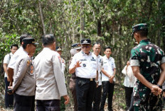Karhutla Sindur Jadi Perhatian, Wali Kota Prabumulih Cek Langsung Lokasi