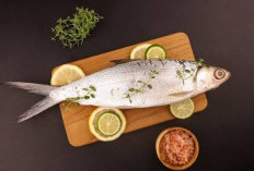 5 Jenis Ikan Lokal Pengganti Salmon, Bergizi Tinggi dan Lebih Ramah di Kantong
