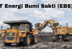 PT Energi Bumi Sakti Buka Lowongan Kerja, Dibutuhkan Operator Excavator dan Driver