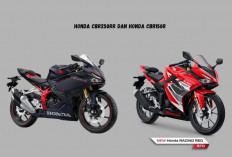 Dua Motor yang Laki Banget, Ini Bandingan Spesifikasi Honda CBR150R Vs Honda CBR250RR