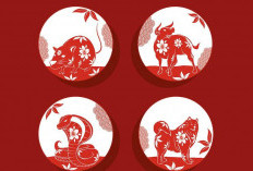 Ramalan Shio 20 Desember 2025, Kelinci Ini Adalah Hari yang Baik Untuk Memperbaiki Sikap