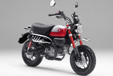 Spesifikasi Honda Monkey 2026, Motor Mini Retro Premium Honda
