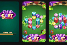 Chip Sort Challenge, Game Puzzle yang Bisa Hasilkan Saldo DANA