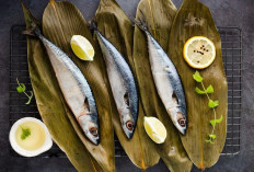 Manfaat Ikan Sarden Untuk Kesehatan Tubuh, Membantu Meningkatkan Kesehatan Mata 