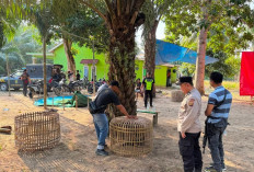 Polsek Tanjung Raja Gerebek Arena Sabung Ayam di Ogan Ilir, Satu Orang Diamankan