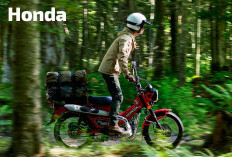 Berpetualang Jadi Lebih Terlindungi, Begini Fitur Keamanan Honda CT125