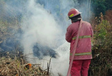 Kemarau Ekstrem Melanda Prabumulih, Warga Diingatkan Tak Bakar Sampah dan Lahan
