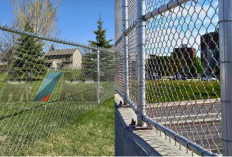 Desain Pagar Kawat Harmonika Modern: Simpel, Kuat, dan Sedap Dipandang