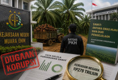 Kejari Muara Enim Usut Dugaan Korupsi PT R6B, Kejagung Ungkap Pemulihan Aset Sawit Rp379 Triliun