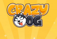 Viral Game Crazy Dog, Benarkah Bisa Hasilkan Uang Hingga Rp600 Ribu per Hari?