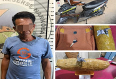 Satresnarkoba Polres Prabumulih Gagalkan Peredaran 1 Kg Ganja, Satu Pelaku Ditangkap