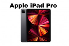 Rekomendasi Tablet Layar 12 Inci Terbaik untuk Kerja dan Hiburan