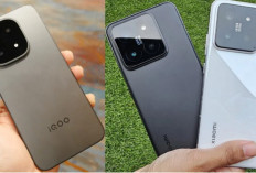 iQOO 15 vs Xiaomi 15, Siapa Raja Flagship Akhir 2025?