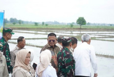 Perkuat Peran Petani, HKTI Sumsel Siap Dorong Ketahanan Pangan Daerah