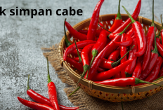 Trik Simpan Cabai agar Tahan Lebih Lama, Tak Cepat Busuk