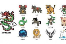 Ramalan Shio 29 Januari 2026, Macan Sebaiknya  Jauhi Pikiran Negatif 