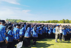 Penerapan UU HKPD 2027 Picu Kekhawatiran PPPK di Prabumulih