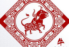 Ramalan Shio 26 Desember 2025, Kambing Hari Ini Anda Penuh dengan Energi